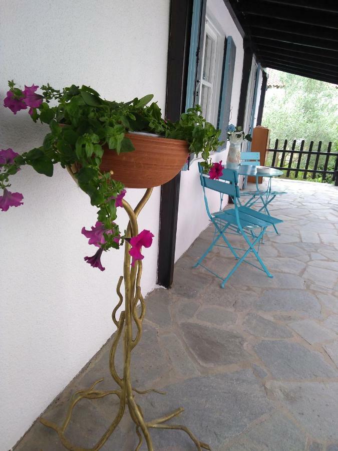 Sea & Sun House Villa Nea Kallikrateia Dış mekan fotoğraf